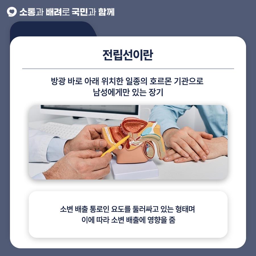 전립선 건강2.jpg